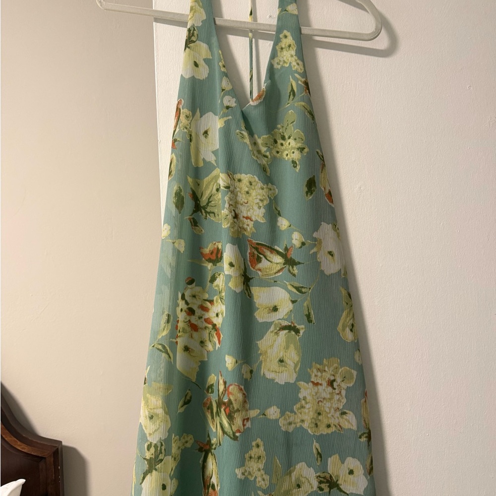 Francesca’s Mini Dress